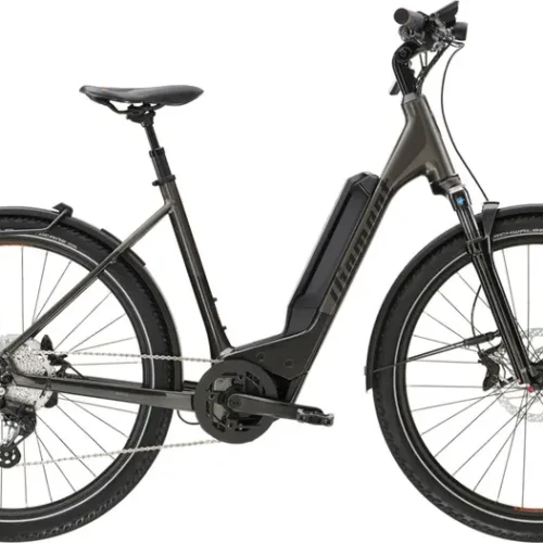 Vélo électrique DIAMANT 138 Wave 400Wh